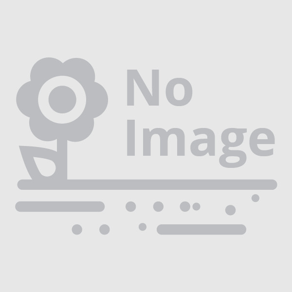 Raes Bloemzaden nv | Celosia plumosa Kelos Fire Red®